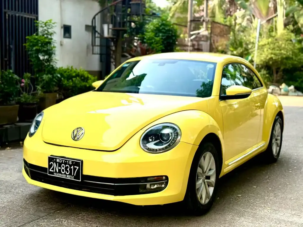 VOLKSWAGEN BEETLE - 大众甲壳虫