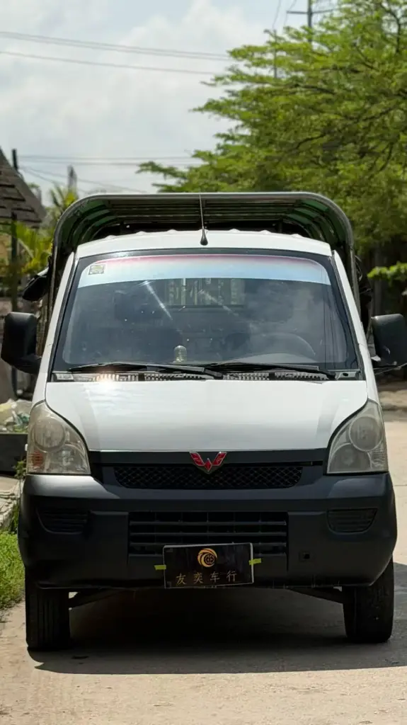 WULING HONGGUANG  - 五菱宏光货车