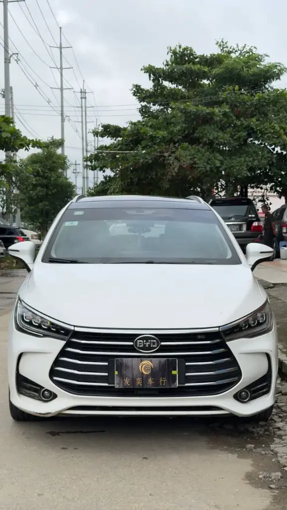 BYD - 比亚迪