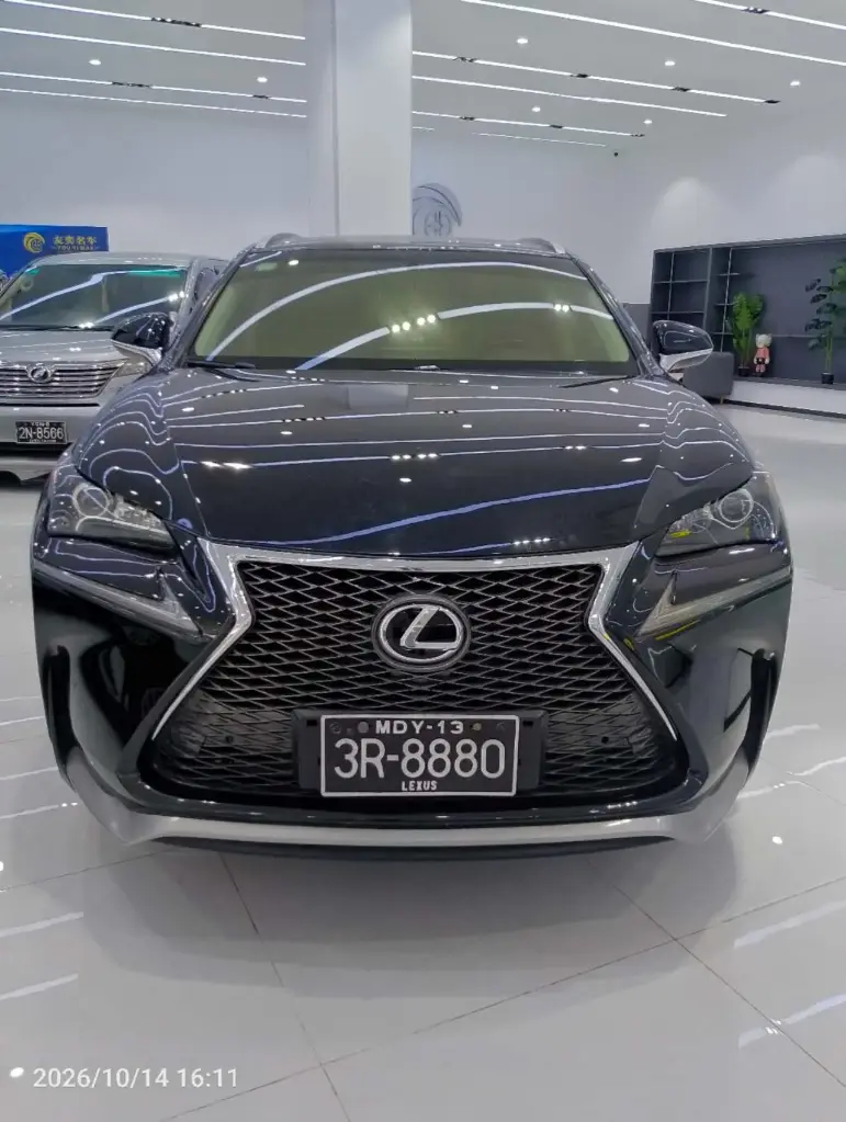 LEXUS NX200T - 雷克萨斯 NX200t