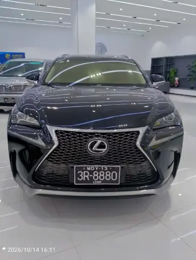 LEXUS NX200T - 雷克萨斯 NX200t